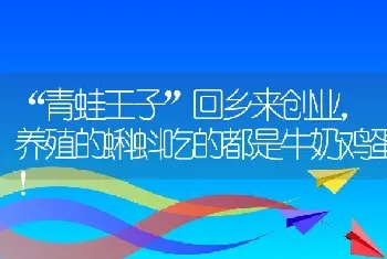 “青蛙王子”回乡来创业，养殖的蝌蚪吃的都是牛奶鸡蛋！