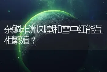 杂鲷非洲凤凰和雪中红能互相繁殖？