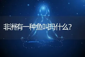 非洲有一种鱼叫玛什么？