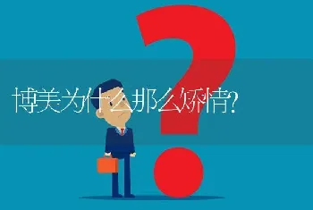 博美为什么那么矫情？