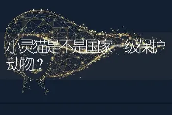 小灵猫是不是国家一级保护动物？