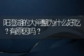 阳澄湖的大闸蟹为什么好吃？有原因吗？