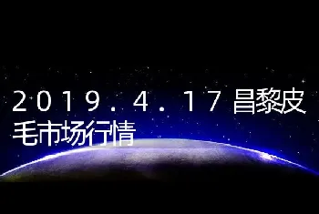 2019.4.17昌黎皮毛市场行情