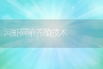 河虾网箱养殖技术