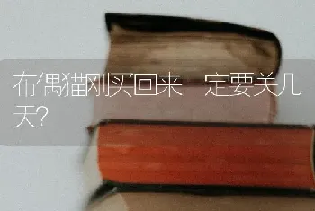 布偶猫刚买回来一定要关几天？