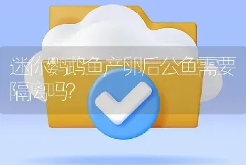 迷你鹦鹉鱼产卵后公鱼需要隔离吗？