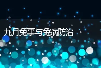 九月兔事与兔病防治