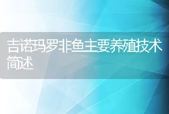 吉诺玛罗非鱼主要养殖技术简述