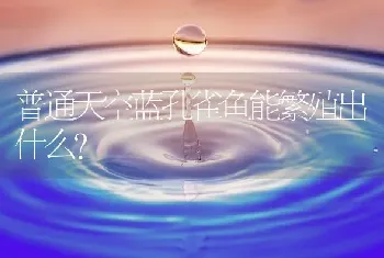 普通天空蓝孔雀鱼能繁殖出什么？