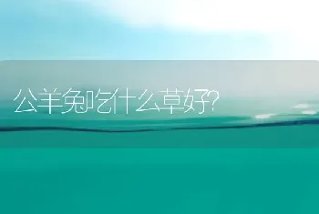 公羊兔吃什么草好？