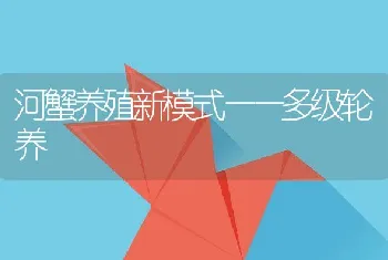 河蟹养殖新模式——多级轮养