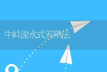 牛蛙流水式养殖法