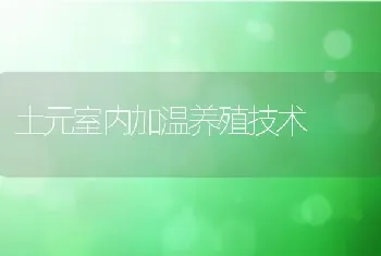 土元室内加温养殖技术