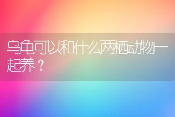 乌龟可以和什么两栖动物一起养？