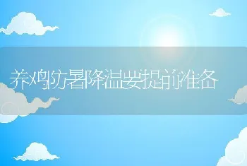 养鸡防暑降温要提前准备