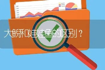 大鲵和娃娃鱼的区别？