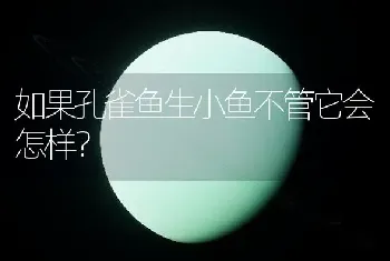 如果孔雀鱼生小鱼不管它会怎样？