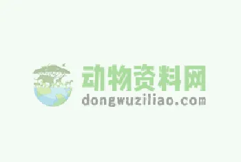 大闸蟹的养殖方法生存条件怎么样？