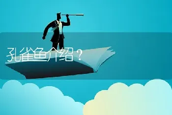 孔雀鱼介绍？