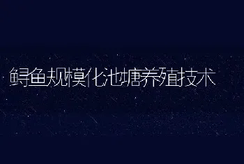 鲟鱼规模化池塘养殖技术