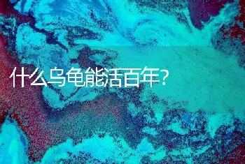 什么乌龟能活百年？