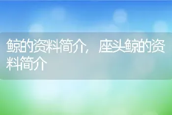 松鼠喜欢吃什么，松鼠喜欢吃什么食物