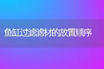 鱼缸过滤滤材的放置顺序