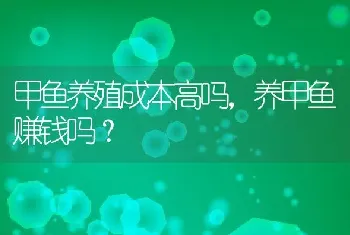 甲鱼养殖成本高吗，养甲鱼赚钱吗？