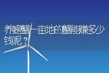 养螃蟹一亩地的蟹能赚多少钱呢？