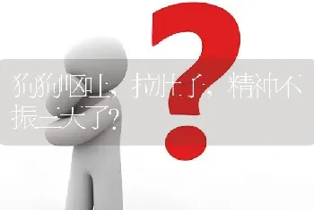 狗狗呕吐，拉肚子，精神不振三天了？