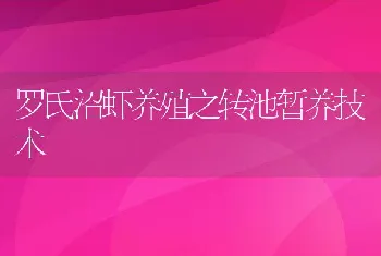 罗氏沼虾养殖之转池暂养技术