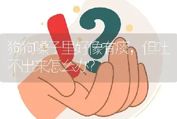 狗狗嗓子里好像有痰，但吐不出来怎么办？