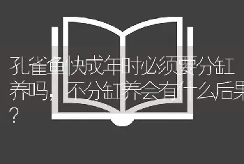 孔雀鱼快成年时必须要分缸养吗，不分缸养会有什么后果？