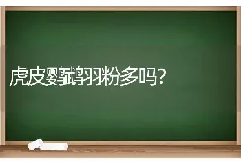 虎皮鹦鹉羽粉多吗？