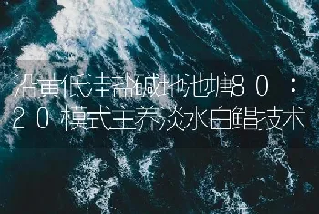 沿黄低洼盐碱地池塘80∶20模式主养淡水白鲳技术