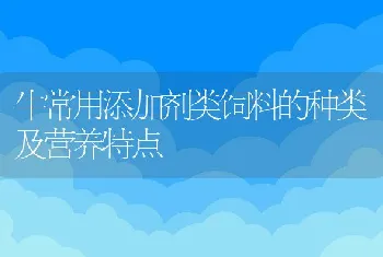 牛常用添加剂类饲料的种类及营养特点