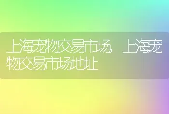 仓鼠咬笼子是什么原因，仓鼠咬笼子是什么原因有磨牙棒