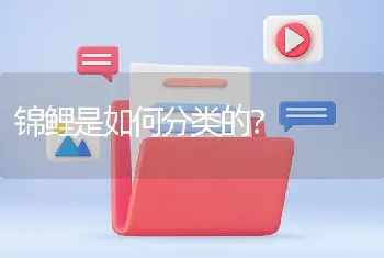 锦鲤是如何分类的？