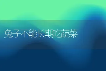 兔子不能长期吃蔬菜