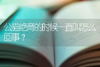 公猫绝育的时候一直叫怎么回事？