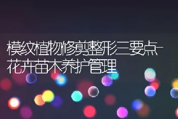 鹌鹑的科学饲养管理方法