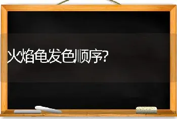 火焰龟发色顺序？