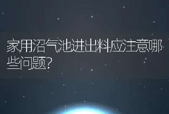 家用沼气池进出料应注意哪些问题？