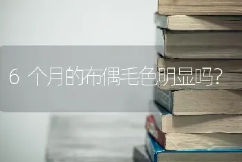 金毛幼犬大概多大进入尴尬期和换毛？