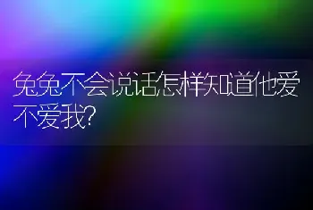 兔兔不会说话怎样知道他爱不爱我？