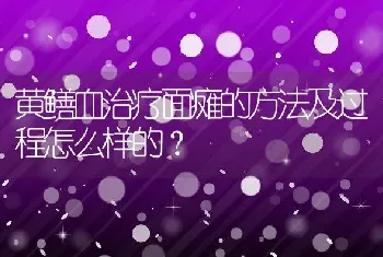 黄鳝血治疗面瘫的方法及过程怎么样的？