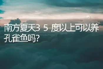 南方夏天35度以上可以养孔雀鱼吗？