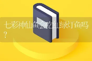 七彩神仙鱼会吃红绿灯鱼吗？