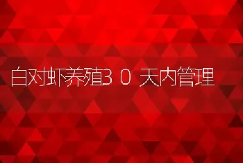 白对虾养殖30天内管理