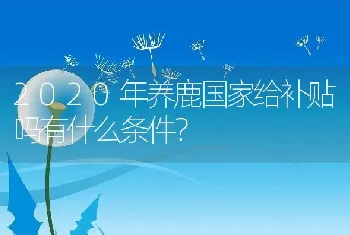 2020年养鹿国家给补贴吗有什么条件？